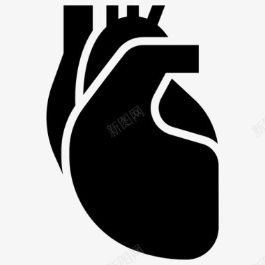 人体心脏解剖学心脏病学图标图标