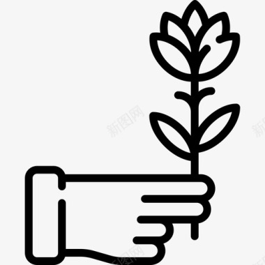 花伦理5直系图标图标