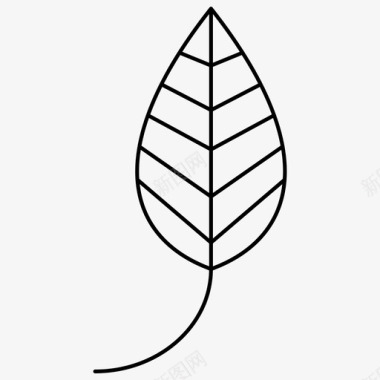 leaf秋季1px线条图标图标