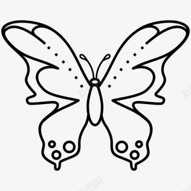 蝴蝶装饰昆虫图标图标