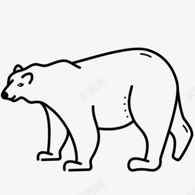 极地动物北极动物北极熊图标图标