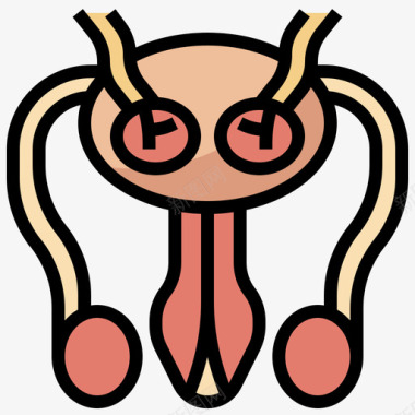 生殖系统人体解剖学5线色图标图标