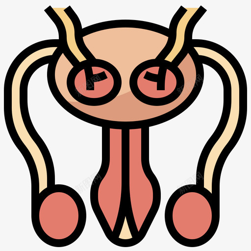 生殖系统人体解剖学5线色图标svg_新图网 https://ixintu.com 人体 生殖 系统 线色 解剖学