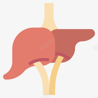 肝脏人体解剖学4扁平图标图标