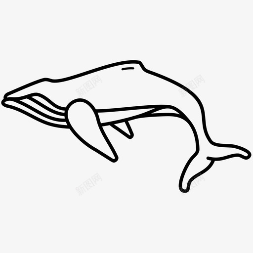 极地动物北极动物鲸鱼图标svg_新图网 https://ixintu.com 北极动物 极地动物 鲸鱼
