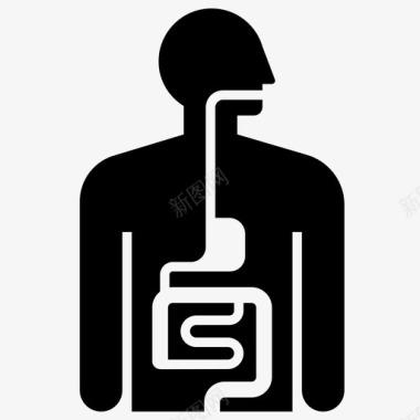 消化系统消化人体器官图标图标