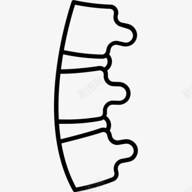 脊柱解剖学生物学图标图标