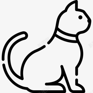猫幸福11直系图标图标