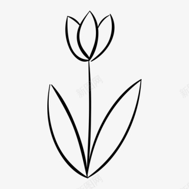 郁金香花手绘图标图标