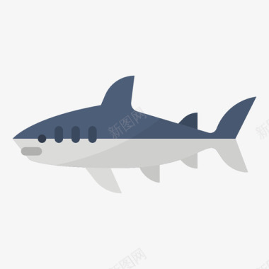 鲨鱼动物78扁平图标图标