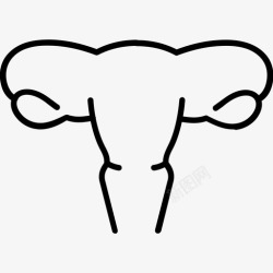 女性生殖系统生殖系统解剖学女性图标高清图片