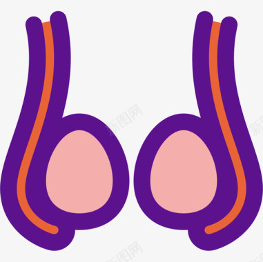 卵巢解剖学4线形颜色图标图标