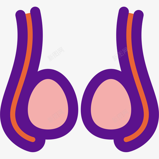 卵巢解剖学4线形颜色图标svg_新图网 https://ixintu.com 卵巢 线形 解剖学 颜色