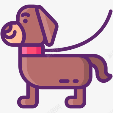 遛狗宠物美容3线性颜色图标图标