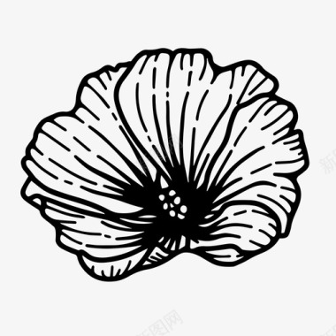 花蕾植物性插图图标图标