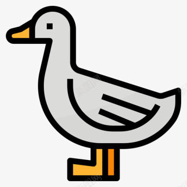 鸭动物79线性颜色图标图标