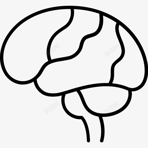 大脑解剖学生物学图标svg_新图网 https://ixintu.com 人类 医学 大脑 生物学 解剖学