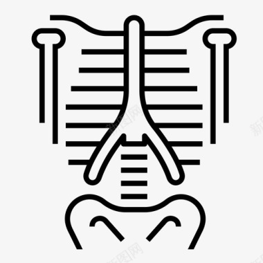 骨骼胸腔肋骨图标图标