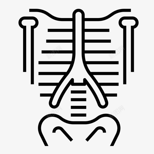 骨骼胸腔肋骨图标svg_新图网 https://ixintu.com 人体解剖线图标 肋骨 胸腔 胸部 胸骨 脊椎骨 骨骼