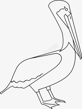 鹈鹕动物鸟图标图标