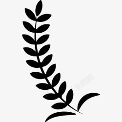 龙舌兰仙人草药草龙舌草图标高清图片