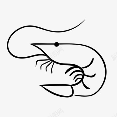 虾甲壳类动物海洋图标图标