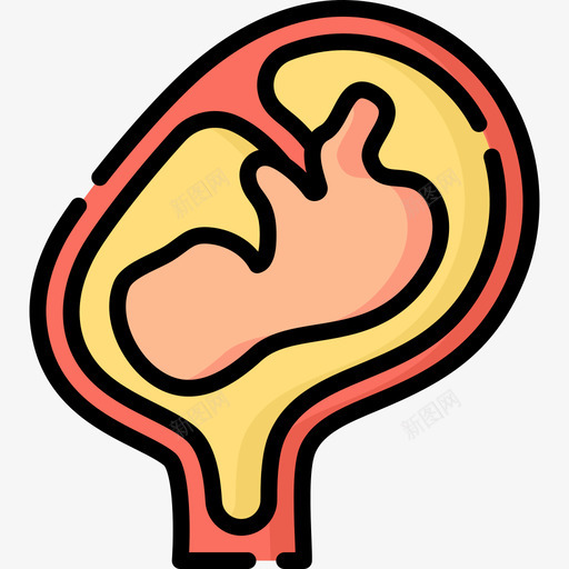 胎儿人体5线色图标svg_新图网 https://ixintu.com 人体 线色 胎儿