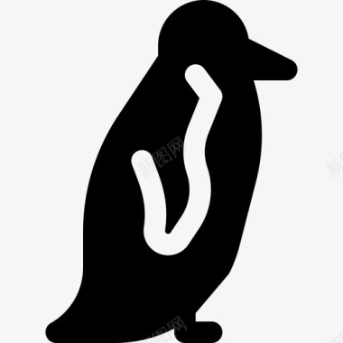 企鹅野生动物6填充图标图标