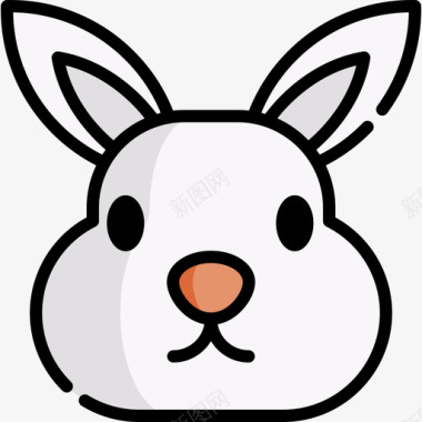 兔子野生动物41线形颜色图标图标