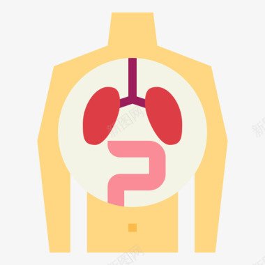 人体器官人体器官5扁平图标图标