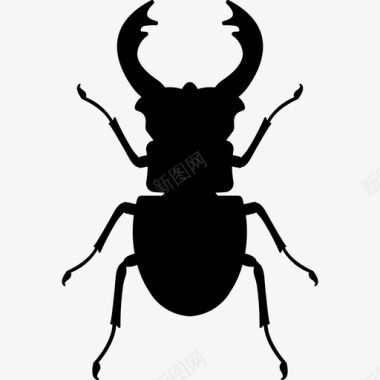 鹿甲虫动物虫图标图标