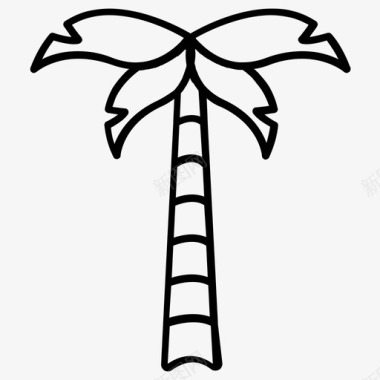 山毛榉树椰子树棕榈树图标图标