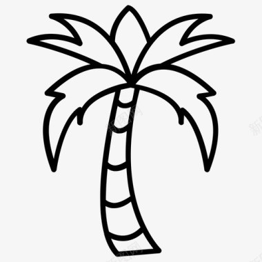 山毛榉树椰子树棕榈树图标图标