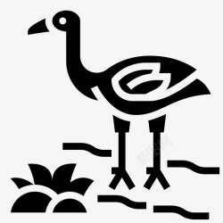 夏季鸟类火烈鸟动物鸟类图标高清图片