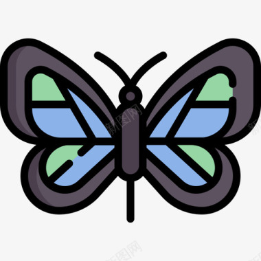 蝴蝶自然121线形颜色图标图标