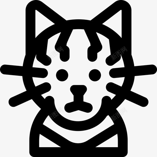 猫猫品种5直系图标svg_新图网 https://ixintu.com 品种 直系