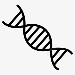 基因组DNAdna遗传学基因组图标高清图片