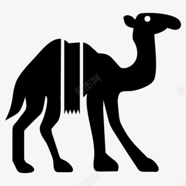骆驼动物阿拉伯图标图标