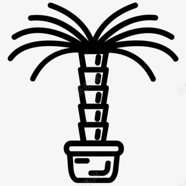 棕榈植物海滩树自然图标图标