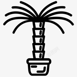 矢量锯棕榈树叶图标棕榈植物海滩树自然图标高清图片