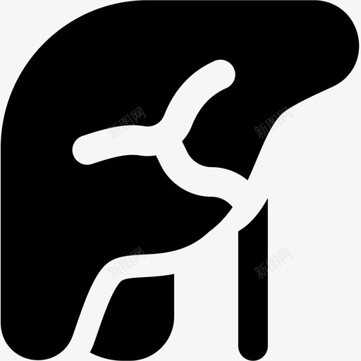 肝脏解剖学身体图标svg_新图网 https://ixintu.com 人体 器官 肝脏 解剖学 身体