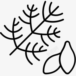 莳萝莳萝生物学植物学图标高清图片