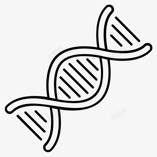 dna生物学dna链图标svg_新图网 https://ixintu.com dna 图标 教育 生物学 科学 遗传 遗传学