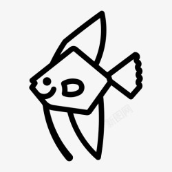 鱼科天使鱼金鱼鲳鱼科图标高清图片