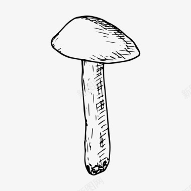 白杨蘑菇食品森林图标图标