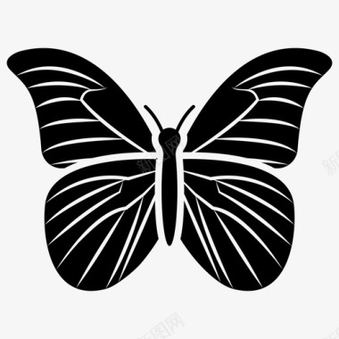 蝴蝶蜻蜓昆虫图标图标