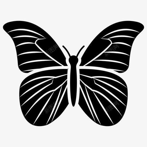 蝴蝶蜻蜓昆虫图标svg_新图网 https://ixintu.com 一套 图标 复活节 字形 昆虫 蛾子 蜻蜓 蝴蝶 鳞翅