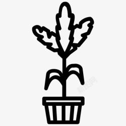 乔拉乔拉仙人掌室内植物自然图标高清图片