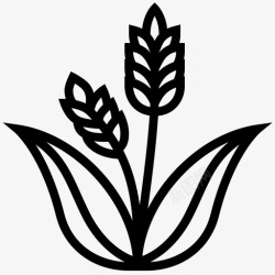 农家小麦稻谷玻璃植物图标高清图片