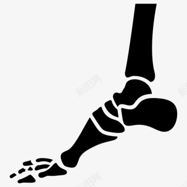 足部x光片人体解剖学关节疼痛图标图标
